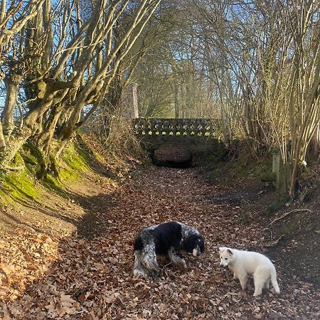 Le Rucher Bois-Normand-près-Lyre エクステリア 写真