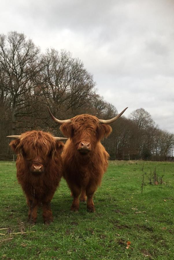 Le Rucher Bois-Normand-près-Lyre エクステリア 写真